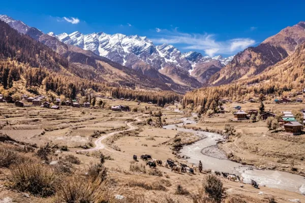 Ladakh Discovery: The Land of High Passes